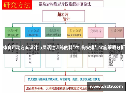 体育运动方案设计与灵活性训练的科学结构安排与实施策略分析